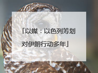 以媒：以色列筹划对伊朗行动多年