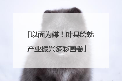 以面为媒！叶县绘就产业振兴多彩画卷