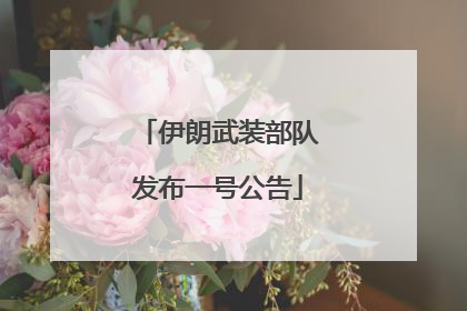伊朗武装部队发布一号公告