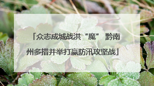 众志成城战洪“魔” 黔南州多措并举打赢防汛攻坚战