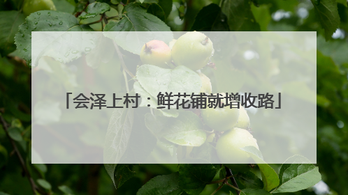 会泽上村：鲜花铺就增收路