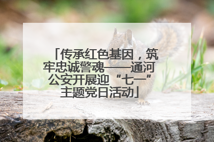 传承红色基因，筑牢忠诚警魂——通河公安开展迎“七一”主题党日活动