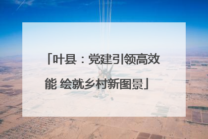叶县：党建引领高效能 绘就乡村新图景