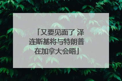 又要见面了 泽连斯基将与特朗普在加拿大会晤