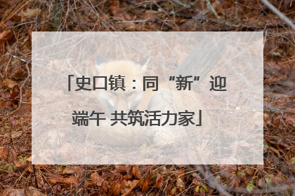 史口镇：同“新”迎端午 共筑活力家