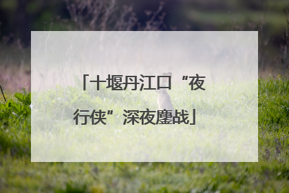 十堰丹江口“夜行侠”深夜鏖战