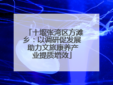 十堰张湾区方滩乡：以调研促发展 助力文旅康养产业提质增效