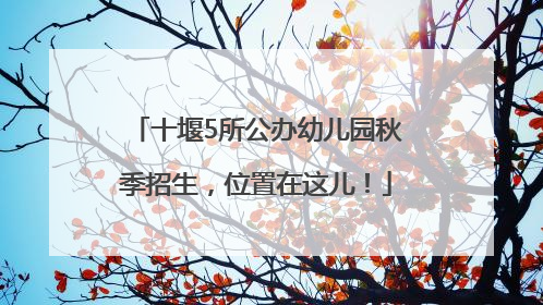 十堰5所公办幼儿园秋季招生，位置在这儿！