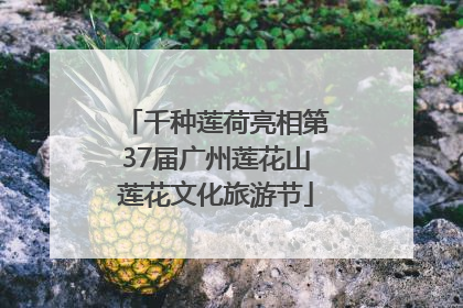 千种莲荷亮相第37届广州莲花山莲花文化旅游节