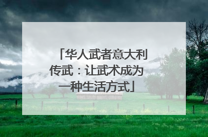华人武者意大利传武：让武术成为一种生活方式