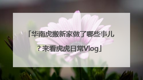 华南虎搬新家做了哪些事儿？来看虎虎日常Vlog