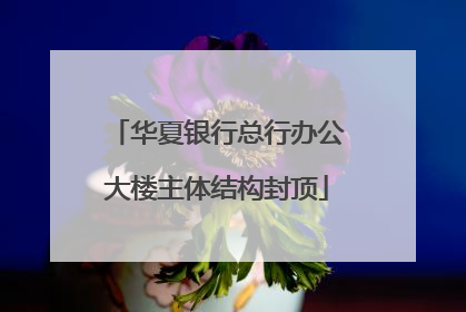 华夏银行总行办公大楼主体结构封顶