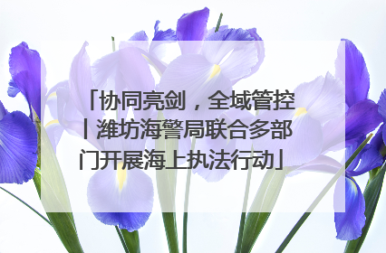 协同亮剑，全域管控丨潍坊海警局联合多部门开展海上执法行动