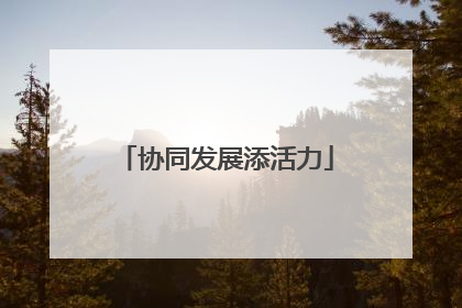 协同发展添活力