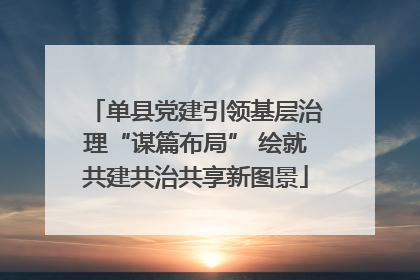 单县党建引领基层治理“谋篇布局” 绘就共建共治共享新图景