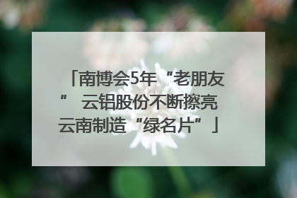 南博会5年“老朋友” 云铝股份不断擦亮云南制造“绿名片”