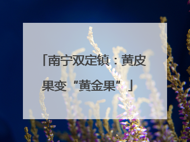 南宁双定镇：黄皮果变“黄金果”