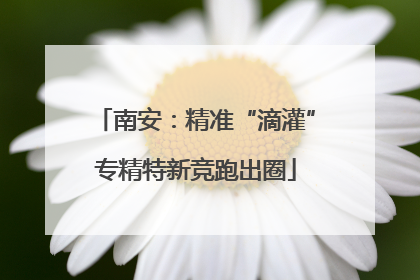 南安：精准“滴灌”专精特新竞跑出圈
