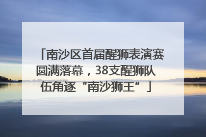 南沙区首届醒狮表演赛圆满落幕，38支醒狮队伍角逐“南沙狮王”