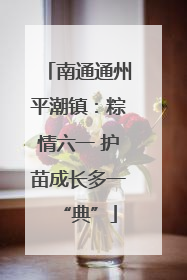 南通通州平潮镇：粽情六一 护苗成长多一“典”