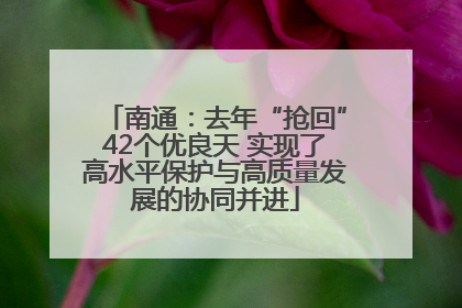 南通：去年“抢回”42个优良天 实现了高水平保护与高质量发展的协同并进
