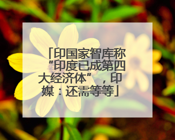 印国家智库称“印度已成第四大经济体”，印媒：还需等等