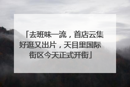 去班味一流，首店云集好逛又出片，天目里国际街区今天正式开街
