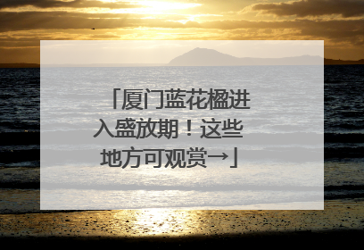 厦门蓝花楹进入盛放期！这些地方可观赏→