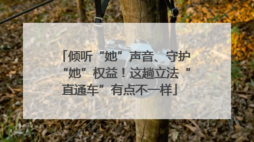 倾听“她”声音、守护“她”权益！这趟立法“直通车”有点不一样