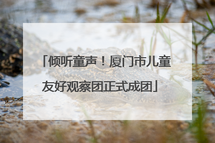 倾听童声！厦门市儿童友好观察团正式成团