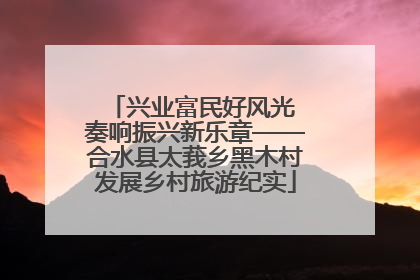兴业富民好风光 奏响振兴新乐章——合水县太莪乡黑木村发展乡村旅游纪实