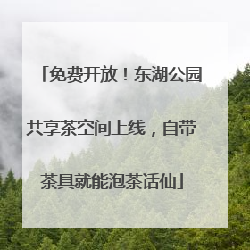 免费开放！东湖公园共享茶空间上线，自带茶具就能泡茶话仙