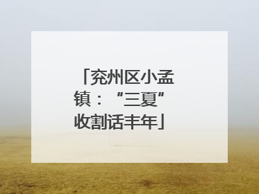 兖州区小孟镇：“三夏”收割话丰年