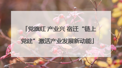 党旗红 产业兴 宿迁“链上党建”激活产业发展新动能