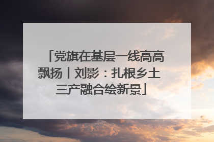 党旗在基层一线高高飘扬丨刘影：扎根乡土 三产融合绘新景