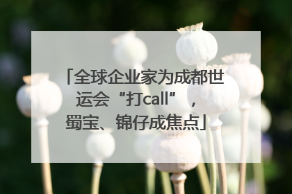 全球企业家为成都世运会“打call”，蜀宝、锦仔成焦点