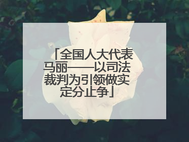 全国人大代表马丽——以司法裁判为引领做实定分止争