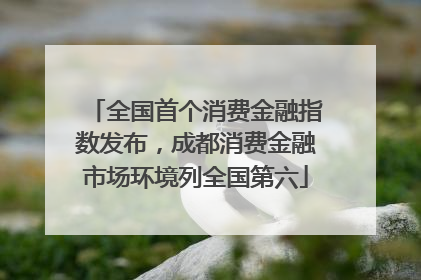 全国首个消费金融指数发布，成都消费金融市场环境列全国第六