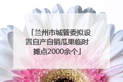 兰州市城管委拟设置自产自销瓜果临时摊点2000余个