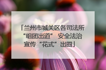 兰州市城关区各司法所“组团出道” 安全法治宣传“花式”出圈