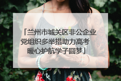 兰州市城关区非公企业党组织多举措助力高考 暖心护航学子圆梦