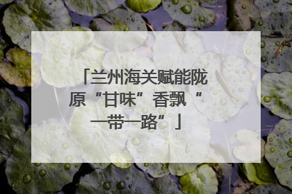 兰州海关赋能陇原“甘味”香飘“一带一路”