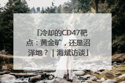 冷却的CD47靶点：黄金矿，还是沼泽地？｜海斌访谈