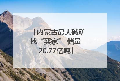 内蒙古最大碱矿找“买家” 储量20.77亿吨