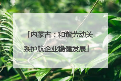 内蒙古：和谐劳动关系护航企业稳健发展