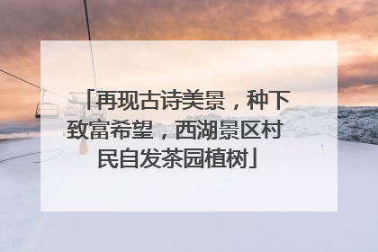 再现古诗美景，种下致富希望，西湖景区村民自发茶园植树