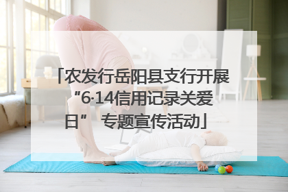 农发行岳阳县支行开展“6·14信用记录关爱日” 专题宣传活动