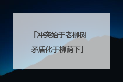 冲突始于老柳树 矛盾化于柳荫下