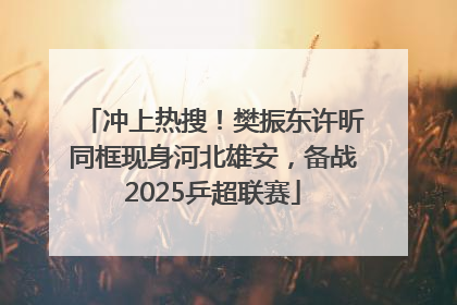 冲上热搜！樊振东许昕同框现身河北雄安，备战2025乒超联赛