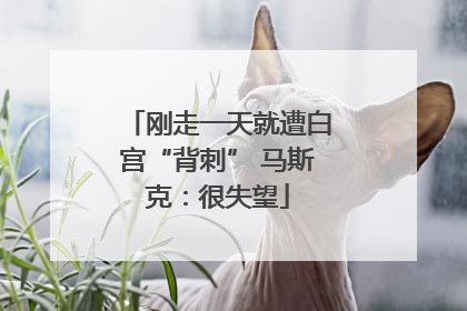 刚走一天就遭白宫“背刺” 马斯克：很失望